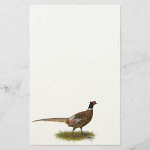 Pheasanttupp Brevpapper