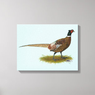 Pheasanttupp Canvastryck