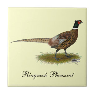 Pheasanttupp Kakelplatta