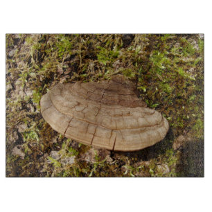 Phellinus igniarius Mushroom Glass Chopping Board