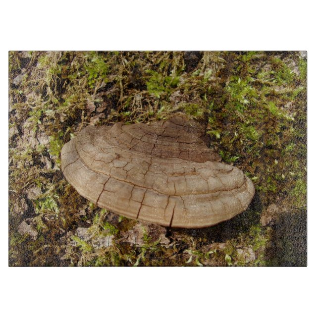 Phellinus igniarius Mushroom Glass Chopping Board (Framsidan)