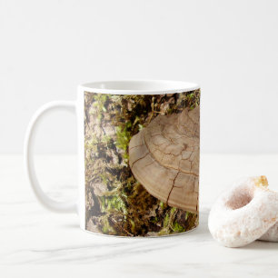 Phellinus igniarius Mushroom Mugg