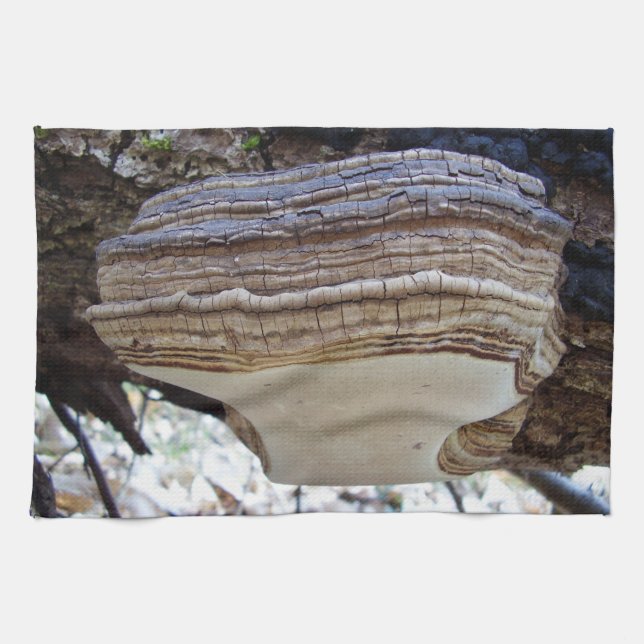 Phellinus igniarius Mushroom Tea Towel Kökshandduk (Horisontell)