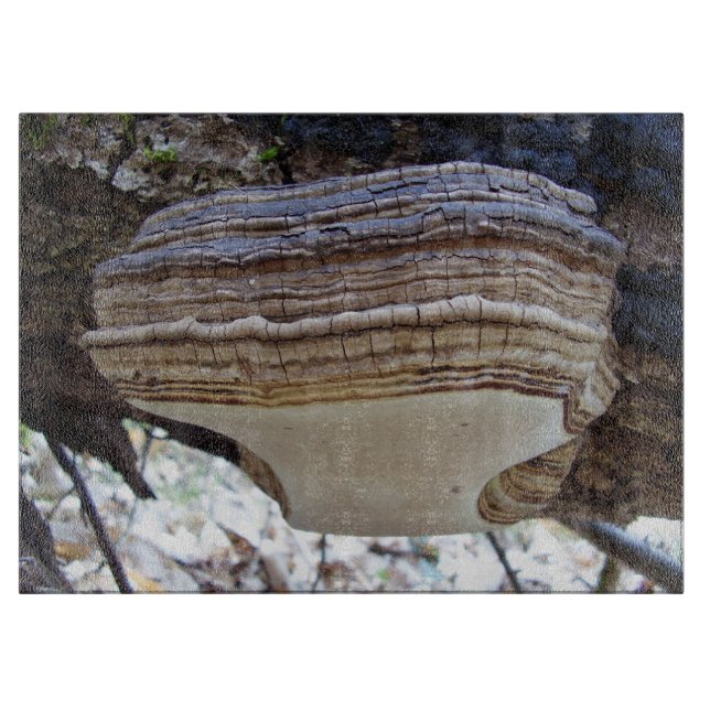 Phellinus igniarius Svamp Glas Skärbräda (Framsidan)
