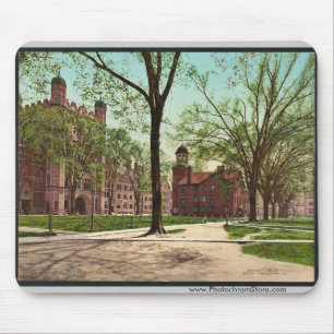 Phelps Hall och Lyceum, Yale högskolasällsynt Musmatta