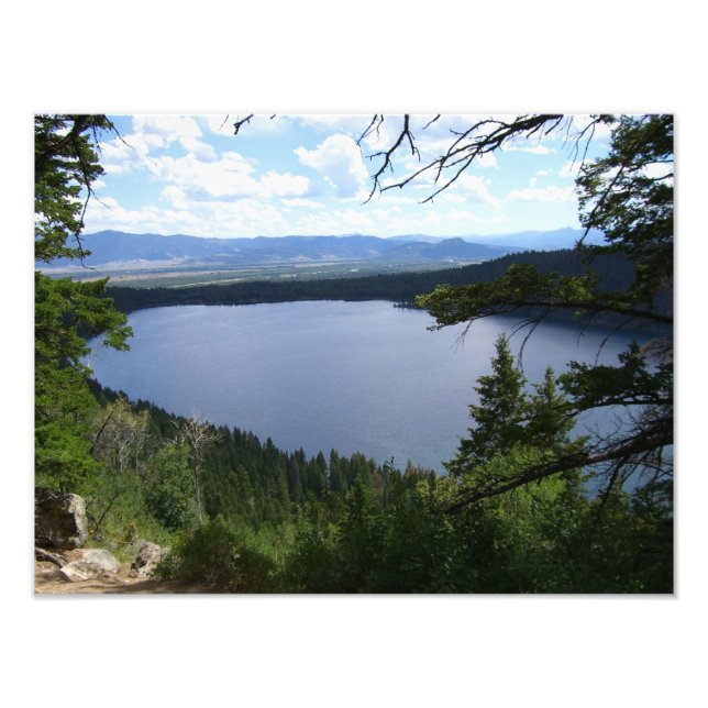 Phelps Sjö I i Grand Teton nationalpark Fototryck (Framsidan)