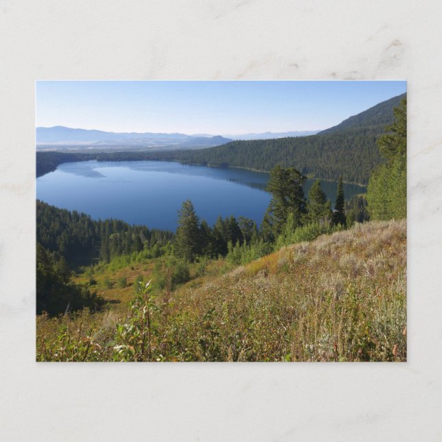 Phelps Sjö III i Grand Teton nationalpark Vykort (Framsida)