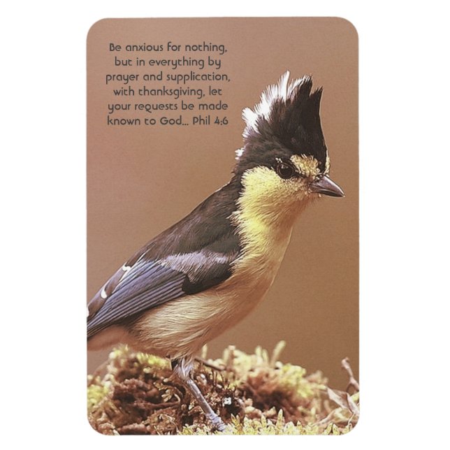 "Phil 4:6" Anxiety Contentment-böner Magnet (Vertikal)
