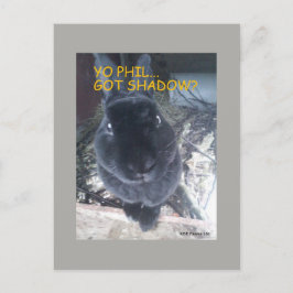 Phil, Har Shadow - vykort