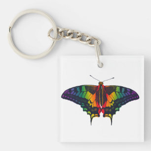 Philadelphia Rainbow Pride Flagga Swallowtail