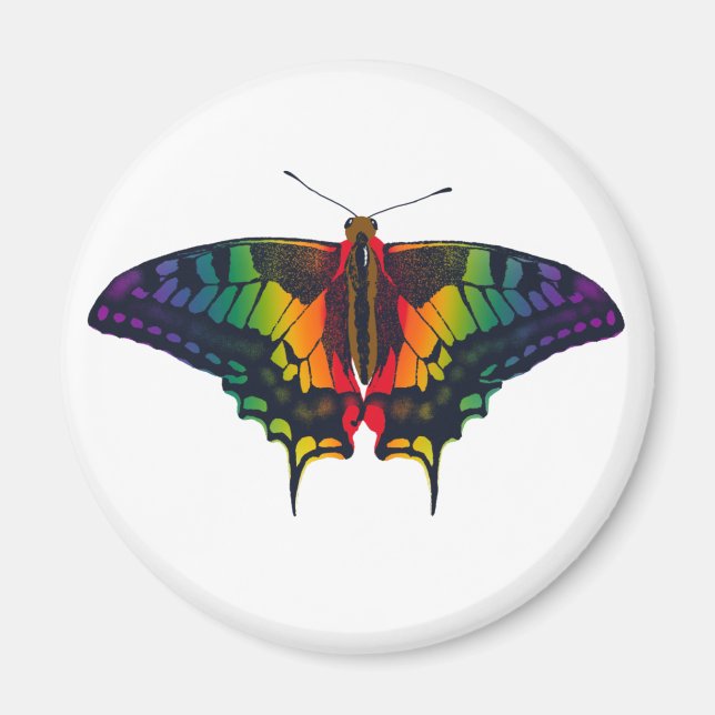 Philadelphia Rainbow Pride Flagga Swallowtail Magnet (Framsidan)