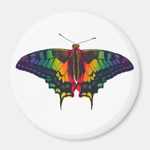 Philadelphia Rainbow Pride Flagga Swallowtail Magnet