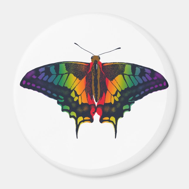 Philadelphia Rainbow Pride Flagga Swallowtail Magnet (Framsidan)