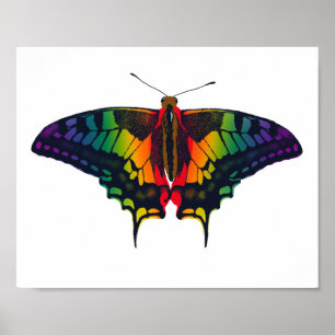 Philadelphia Rainbow Pride Flagga Swallowtail Poster