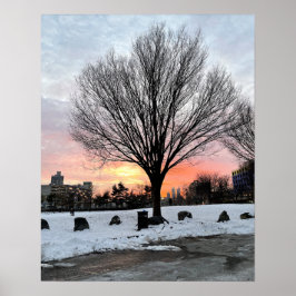 Philadelphia Snowy Sunset med Träd Poster