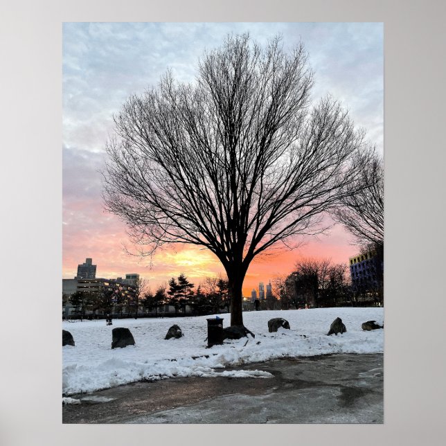 Philadelphia Snowy Sunset med Träd Poster (Framsidan)