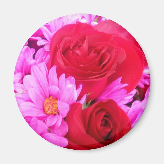 Philippa Magnet (Framsidan)