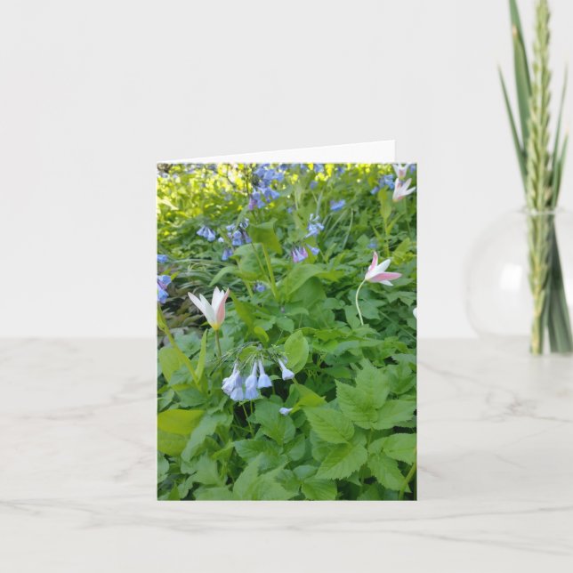 Philippians 4:4 Blank Card Kort (Framsida)