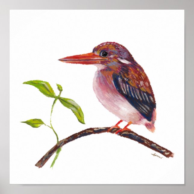 Philippine Dwarf Kingfisher Endemic Bird Poster (Framsidan)