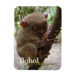 Philippine Tarsier från Bohol Magnet