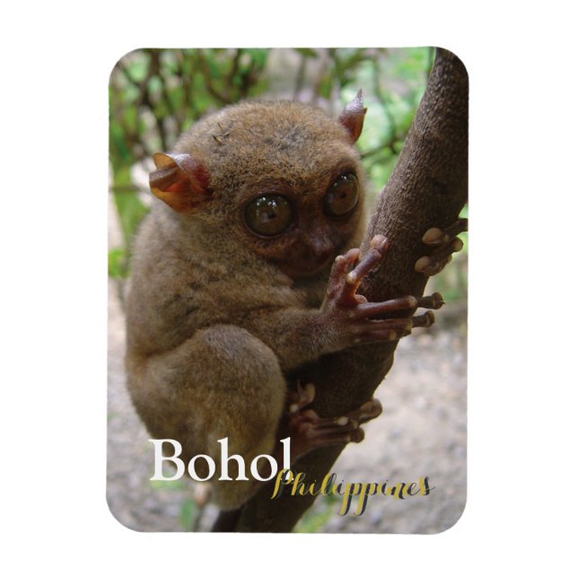 Philippine Tarsier från Bohol Magnet (Vertikal)