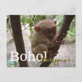 Philippine Tarsier från Bohol Vykort