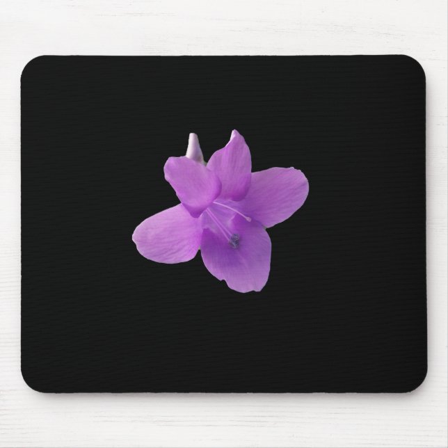 Philippine Violet on black Musmatta (Framsidan)