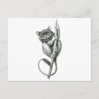 Philipppine Tarsier schukina Vykort