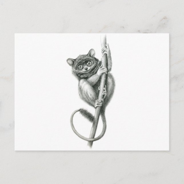 Philipppine Tarsier schukina Vykort (Framsida)