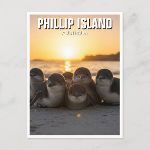 Phillip Island Australia Vykort