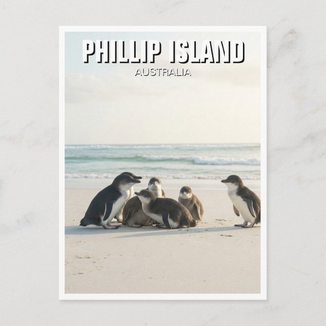 Phillip Island Australia Vykort (Framsida)
