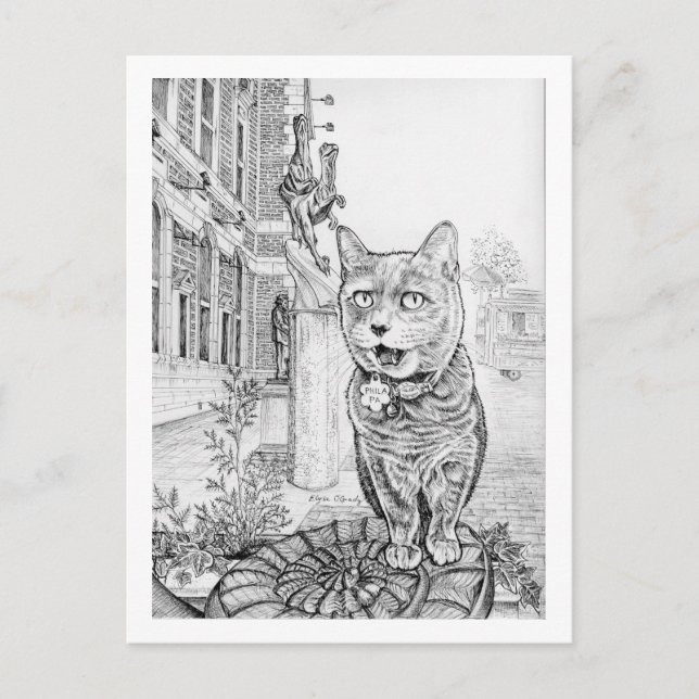 Philly Cat near Academy of Natural Sciences  Vykort (Framsida)