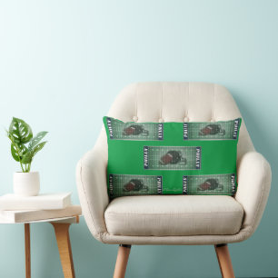 PHILLY FOOTBALL PILLOW LUMBARKUDDE