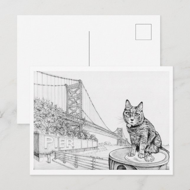 Philly-katt nära Ben Franklin Bridge Vykort (Fram/baksida)