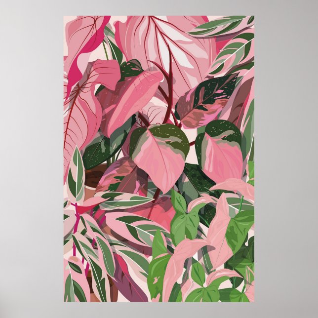 PHILODENDRON ROSA PRINCESS DAM POSTER (Framsidan)