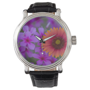 Phlox och Indian Blanket nära Devine Texas Armbandsur