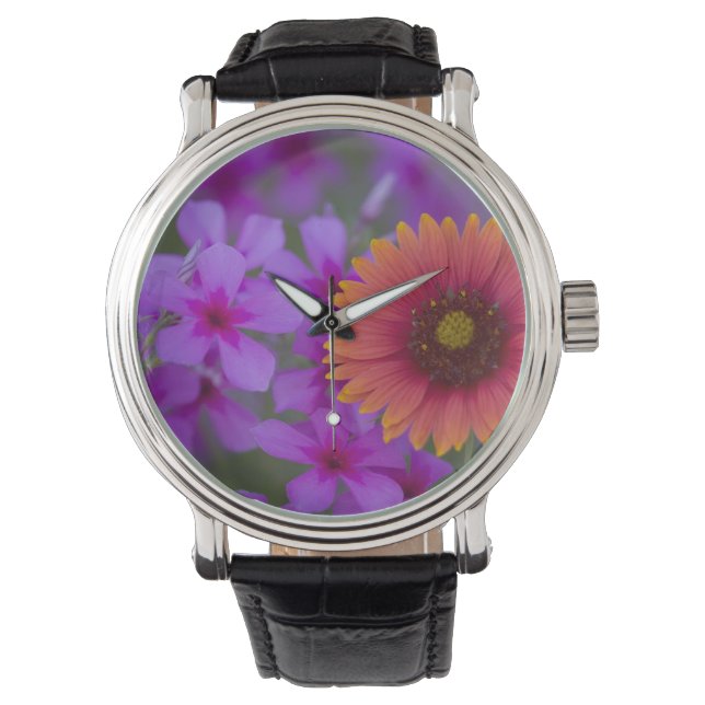 Phlox och Indian Blanket nära Devine Texas Armbandsur (Framsida)