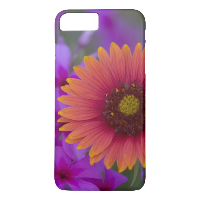 Phlox och Indian Blanket nära Devine Texas Case-Mate iPhone Skal (Baksida)