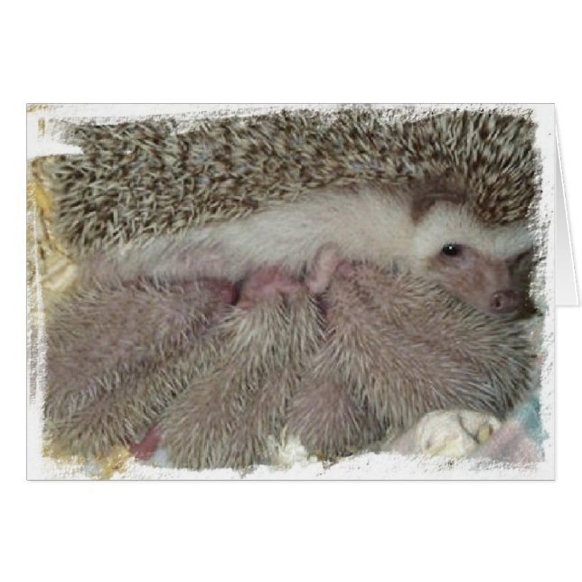 Phlox och Spädbarn Hälsningskort (Framsidan Horizontal)