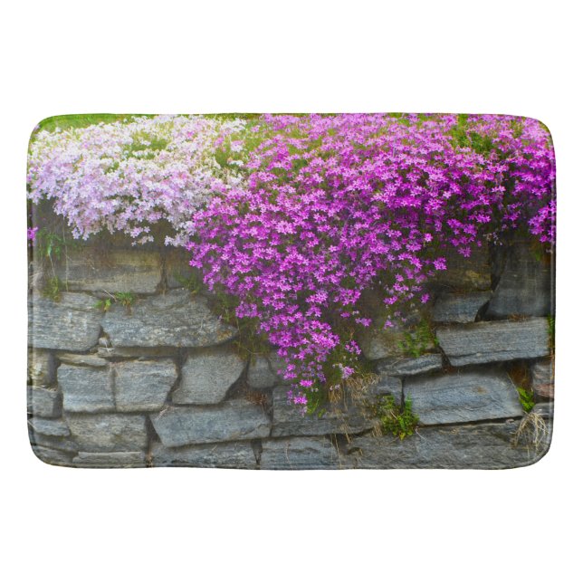 Phlox på stenar badrumsmatta (Framsidan)