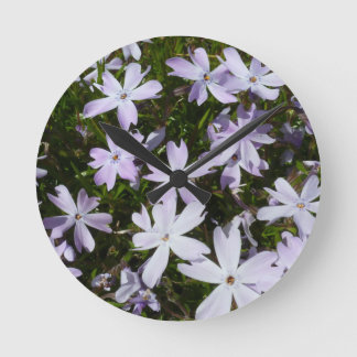 Phloxblomma Rund Klocka