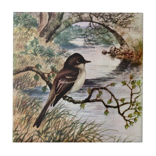 Phoebe och stenen överbryggar över bäck kakelplatta (Framsidan)