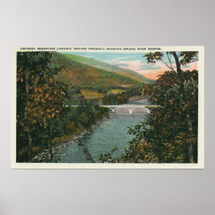 Phoencia överbryggar över Esopus Poster