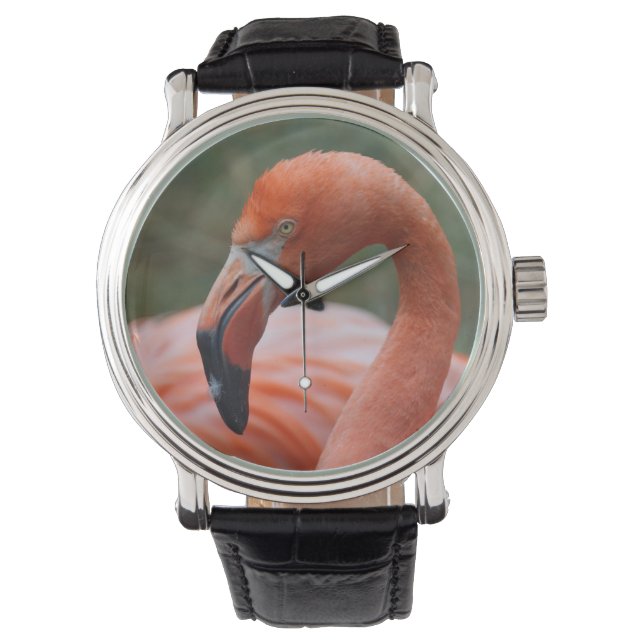 Phoenicopterus ruber armbandsur (Framsida)