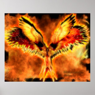 Phoenix affisch