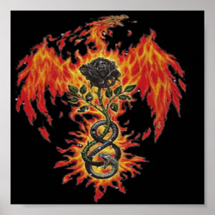 Phoenix affisch