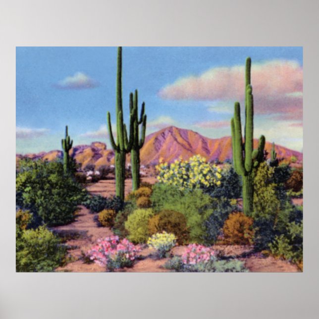 Phoenix Arizona Camelback Mountain Poster (Framsidan)