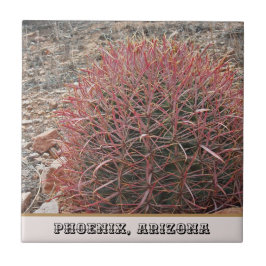 Phoenix Arizona Unique Red Barrel Cactus Photo Kakelplatta