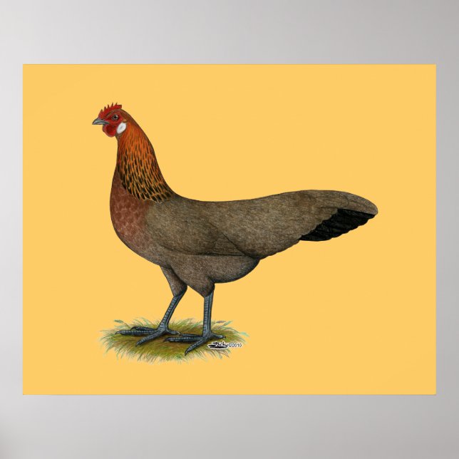 Phoenix: BB Red Hen Poster (Framsidan)