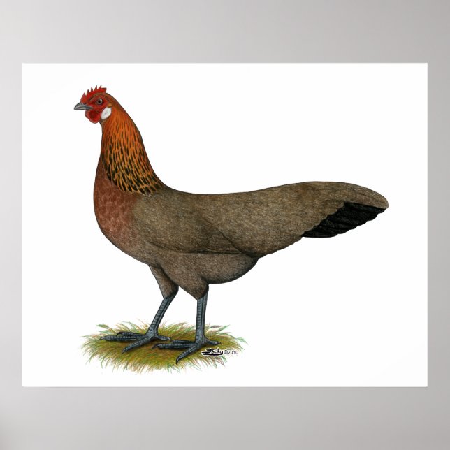 Phoenix: BB Red Hen Poster (Framsidan)